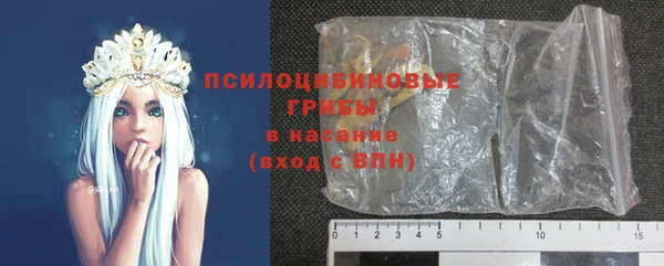ECSTASY Богданович