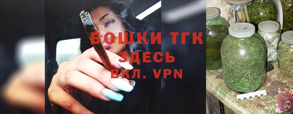 шишки Белоозёрский
