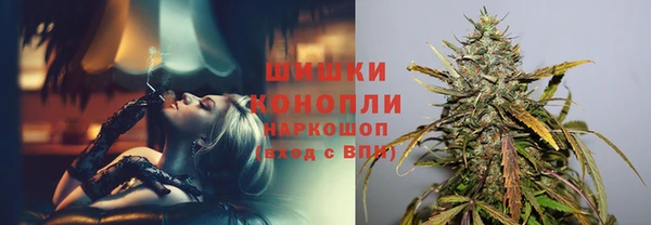 Альфа ПВП Богородицк