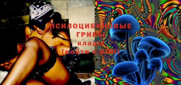 тгк Арсеньев