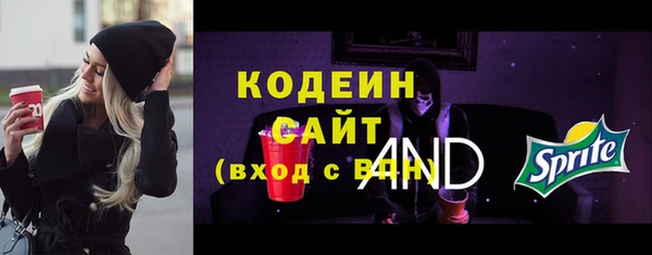 ECSTASY Богданович