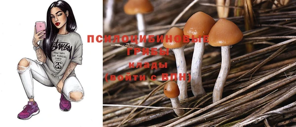 шишки Белоозёрский
