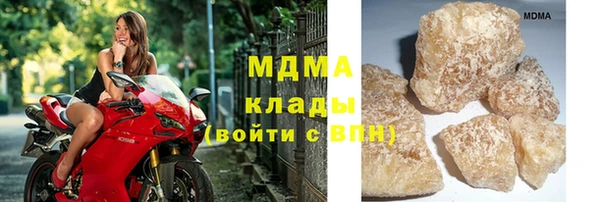 ECSTASY Богданович
